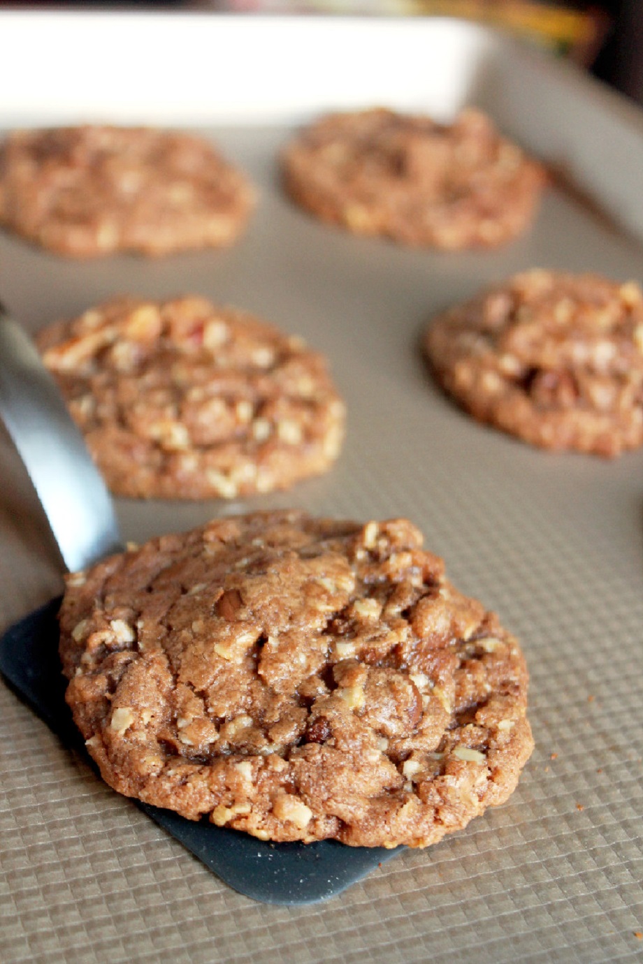 nutella oatmeal pecan chocolate chip cookies